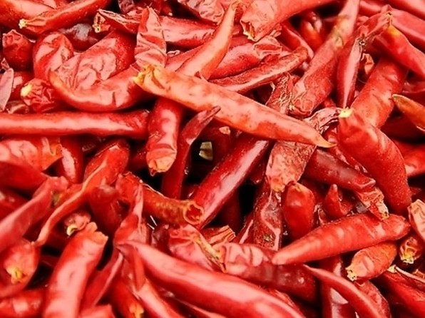 Condiment